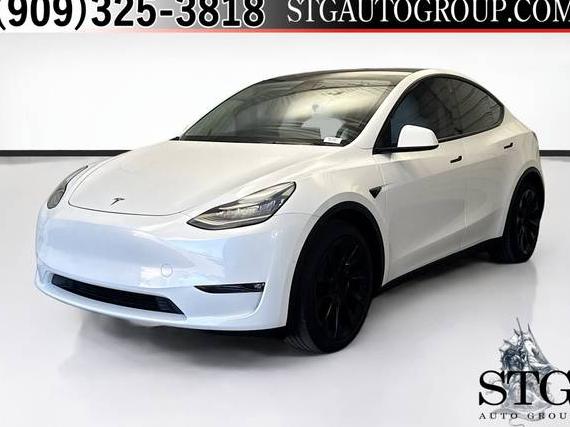 TESLA MODEL Y 2021 5YJYGAEE9MF158269 image